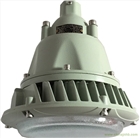 BAX1207D系列固態(tài)免維護(hù)防爆燈120W150W