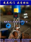 ZZWPE電動溫控調(diào)節(jié)閥