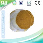 佳鑫凈水 26含量聚合氯化鋁 品質(zhì)保證 工業(yè)級 產(chǎn)品齊全