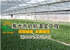 智能溫室   薄膜連棟智能溫室