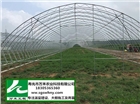 大棚建設(shè)   有立柱蔬菜大棚   壽光市萬(wàn)禾農(nóng)業(yè)