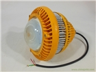OHBF810化工廠(chǎng)加油站用吊裝壁裝LED防爆燈100W