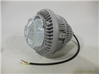 OHSF810煉油廠(chǎng)加氣站用吊裝壁裝LED防爆泛光燈150W