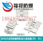 BXMD51-T 防爆照明動(dòng)力配電箱