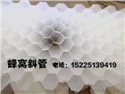 山西蜂窩斜管
