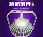 LED防爆燈 H型BAD808防爆燈 低碳節(jié)能LED防爆燈