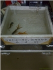 惠州市首家自主品牌防水補(bǔ)漏堵漏工程技術(shù)公司