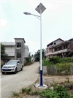 湖南路燈廠家湖南專業(yè)路燈廠家華容縣太陽(yáng)能路燈批發(fā)