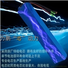 電動(dòng)自行車36V鋰電池組