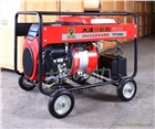 300A汽油電焊發(fā)電兩用機,TOTO300A