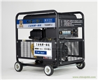 大澤300A便攜式發(fā)電電焊兩用機