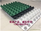聚乙烯排水板，塑料排水板，復合排水板，泰安澤瑞建材