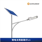 節(jié)能型鋰電智能6-8米30W太陽能LED路燈L1