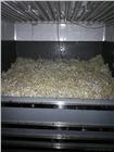 新疆全自動(dòng)豆芽淋水線機(jī)械廠家-烏蘇全自動(dòng)豆芽翻轉(zhuǎn)機(jī)報(bào)價(jià)