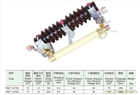 RW7-12跌落式熔斷器（陶瓷式）高壓電力熔斷器廠家
