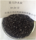 果殼凈水碳